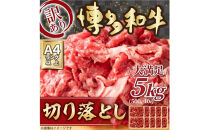 訳あり&nbsp;博多和牛&nbsp;切り落とし&nbsp;5kg&nbsp;(&nbsp;500g×10パック&nbsp;)&nbsp;|&nbsp;牛肉&nbsp;和牛&nbsp;小分け&nbsp;切り落とし&nbsp;切落し&nbsp;不揃い&nbsp;5000g&nbsp;5キロ&nbsp;肉じゃが&nbsp;牛丼&nbsp;野菜炒め&nbsp;ブランド牛&nbsp;お取り寄せ&nbsp;高級&nbsp;グルメ