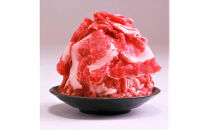 訳あり&nbsp;博多和牛&nbsp;切り落とし&nbsp;5kg&nbsp;(&nbsp;500g×10パック&nbsp;)&nbsp;|&nbsp;牛肉&nbsp;和牛&nbsp;小分け&nbsp;切り落とし&nbsp;切落し&nbsp;不揃い&nbsp;5000g&nbsp;5キロ&nbsp;肉じゃが&nbsp;牛丼&nbsp;野菜炒め&nbsp;ブランド牛&nbsp;お取り寄せ&nbsp;高級&nbsp;グルメ