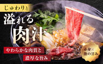 訳あり&nbsp;博多和牛&nbsp;切り落とし&nbsp;5kg&nbsp;(&nbsp;500g×10パック&nbsp;)&nbsp;|&nbsp;牛肉&nbsp;和牛&nbsp;小分け&nbsp;切り落とし&nbsp;切落し&nbsp;不揃い&nbsp;5000g&nbsp;5キロ&nbsp;肉じゃが&nbsp;牛丼&nbsp;野菜炒め&nbsp;ブランド牛&nbsp;お取り寄せ&nbsp;高級&nbsp;グルメ