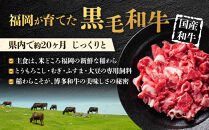訳あり&nbsp;博多和牛&nbsp;切り落とし&nbsp;5kg&nbsp;(&nbsp;500g×10パック&nbsp;)&nbsp;|&nbsp;牛肉&nbsp;和牛&nbsp;小分け&nbsp;切り落とし&nbsp;切落し&nbsp;不揃い&nbsp;5000g&nbsp;5キロ&nbsp;肉じゃが&nbsp;牛丼&nbsp;野菜炒め&nbsp;ブランド牛&nbsp;お取り寄せ&nbsp;高級&nbsp;グルメ
