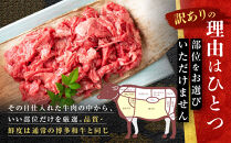 訳あり&nbsp;博多和牛&nbsp;切り落とし&nbsp;5kg&nbsp;(&nbsp;500g×10パック&nbsp;)&nbsp;|&nbsp;牛肉&nbsp;和牛&nbsp;小分け&nbsp;切り落とし&nbsp;切落し&nbsp;不揃い&nbsp;5000g&nbsp;5キロ&nbsp;肉じゃが&nbsp;牛丼&nbsp;野菜炒め&nbsp;ブランド牛&nbsp;お取り寄せ&nbsp;高級&nbsp;グルメ