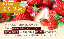 先行予約 まりひめいちご 15～20粒入×4パック 食べやすいひと口サイズ こだわり 農家厳選 ［KG32］