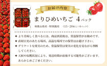 先行予約 まりひめいちご 15～20粒入×4パック 食べやすいひと口サイズ こだわり 農家厳選 ［KG32］