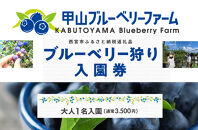 甲山ブルーベリーファーム ブルーベリー狩り入園券（大人1名）