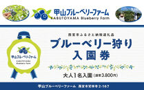 甲山ブルーベリーファーム&nbsp;ブルーベリー狩り入園券（大人1名）