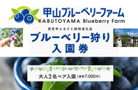 甲山ブルーベリーファーム ブルーベリー狩り入園券（大人2名ペア入園）