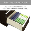 160両袖デスク-DB-エクティ