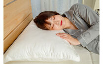 大判ゆったり&nbsp;ふわふわ枕&nbsp;シルキーウォーム50×70センチ