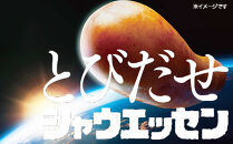 【ふるさと納税】シャウエッセン パワ辛 98g×2束×12パック ［食品 あらびき ウインナー ソーセージ セット ウインナーソーセージ チョリソー タンパク質 国内製造 北海道 旭川 納税 返礼品 日本ハム お取り寄せグルメ 定期便 大容量 レンチン お弁当 おかず 惣菜 おつまみ 送料無料］_05361