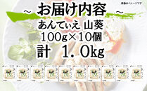 【ふるさと納税】無塩せき ウインナー あんてぃえ 山葵 100g x 10p 計1.0kg ［食品 無塩せきウインナー ソーセージ わさび 国内製造 北海道 旭川 無塩せきソーセージ 発色剤不使用 日本ハム 小分け 定期便 パーティー お弁当 おつまみ 冷蔵 送料無料］_05365