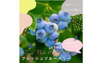 【復興支援】【先行予約】生・能登ブルーベリー100ｇパック×5つ
