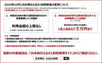 日本旅行 福岡県福岡市 日本旅行 地域限定旅行クーポン60,000円分 (Eメール発行) | 旅行券 福岡 旅行 旅行クーポン 宿泊券 福岡 宿泊 トラベル トラベルクーポン ギフト チケット 観光 ホテル 旅館 国内旅行 福岡旅行 博多旅行 福岡市