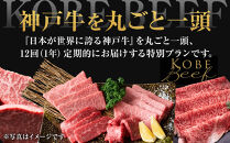 【神戸牛1頭まるごとプレミアムフルコース】一頭まるごと、最高峰の感動体験　[ ふるさと納税 神戸牛 神戸ビーフ ブランド和牛 訳あり 訳アリ 部位 霜降り 黒毛和牛 国産牛 和牛 高級 兵庫県 神戸牛 但馬 西宮市 ]