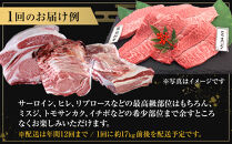 【神戸牛1頭まるごとプレミアムフルコース】一頭まるごと、最高峰の感動体験　[ ふるさと納税 神戸牛 神戸ビーフ ブランド和牛 訳あり 訳アリ 部位 霜降り 黒毛和牛 国産牛 和牛 高級 兵庫県 神戸牛 但馬 西宮市 ]
