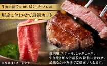 【神戸牛1頭まるごとプレミアムフルコース】一頭まるごと、最高峰の感動体験　[ ふるさと納税 神戸牛 神戸ビーフ ブランド和牛 訳あり 訳アリ 部位 霜降り 黒毛和牛 国産牛 和牛 高級 兵庫県 神戸牛 但馬 西宮市 ]