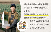 与一ねぎ&nbsp;2Lサイズ（27本）&nbsp;｜野菜&nbsp;ネギ&nbsp;農家直送&nbsp;産地直送&nbsp;産直&nbsp;大田原ブランド&nbsp;栃木県&nbsp;大田原市