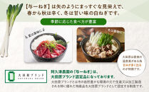 与一ねぎ&nbsp;2Lサイズ（27本）&nbsp;｜野菜&nbsp;ネギ&nbsp;農家直送&nbsp;産地直送&nbsp;産直&nbsp;大田原ブランド&nbsp;栃木県&nbsp;大田原市