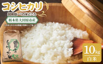 【令和7年産 新米 先行予約受付】栃木県 大田原市産 コシヒカリ 白米 10kg ｜コメ お米 銘柄米 農家直送 産地直送 産直 数量限定