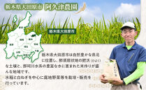 【令和7年産&nbsp;】栃木県&nbsp;大田原市産&nbsp;コシヒカリ&nbsp;白米&nbsp;5kg&nbsp;｜コメ&nbsp;お米&nbsp;銘柄米&nbsp;農家直送&nbsp;産地直送&nbsp;産直&nbsp;数量限定