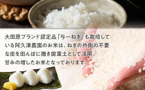 【令和7年産&nbsp;】栃木県&nbsp;大田原市産&nbsp;コシヒカリ&nbsp;白米&nbsp;5kg&nbsp;｜コメ&nbsp;お米&nbsp;銘柄米&nbsp;農家直送&nbsp;産地直送&nbsp;産直&nbsp;数量限定