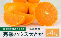 柑橘の大トロ！完熟ハウスせとか  4kg2026年2月中旬～発送予定【フルーツ 人気 お取り寄せ 産地直送 もりの農園 ドルチェみかん みかん せとか 柑橘 果物 フルーツ 産地直送 人気 おすすめ 瀬戸内 広島県  尾道市】