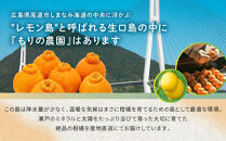 柑橘の大トロ！完熟ハウスせとか&nbsp;&nbsp;6kg&nbsp;2026年2月中旬～発送予定【フルーツ&nbsp;人気&nbsp;お取り寄せ&nbsp;産地直送&nbsp;もりの農園&nbsp;ドルチェみかん&nbsp;みかん&nbsp;せとか&nbsp;柑橘&nbsp;果物&nbsp;フルーツ&nbsp;産地直送&nbsp;人気&nbsp;おすすめ&nbsp;瀬戸内&nbsp;広島県&nbsp;&nbsp;尾道市】