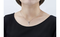 PD6-7-1 Wハート「揺れるキュービック磁気ネッレス」