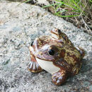 信楽焼 陶器製 5号蛙 置物