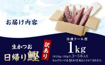 かつお一本釣り漁師が直送！ 日帰り生かつお 訳あり 1kg入