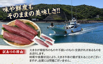 かつお一本釣り漁師が直送！ 日帰り生かつお 訳あり 500g入
