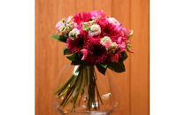 季節ごとに届く、えらべるお花　Sサイズ（4回お届け）【季節ごとに届く、えらべるお花 Sサイズ フラワーライフ 世界らん展 フラワードリームジャパンカップ フラワーアレンジメント 6種類のフラワースタイル 神奈川県 小田原市 】