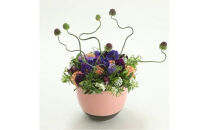 季節ごとに届く、えらべるお花　Sサイズ（4回お届け）【季節ごとに届く、えらべるお花 Sサイズ フラワーライフ 世界らん展 フラワードリームジャパンカップ フラワーアレンジメント 6種類のフラワースタイル 神奈川県 小田原市 】