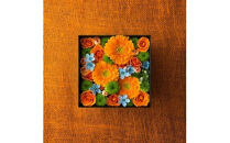 季節ごとに届く、えらべるお花　Sサイズ（4回お届け）【季節ごとに届く、えらべるお花 Sサイズ フラワーライフ 世界らん展 フラワードリームジャパンカップ フラワーアレンジメント 6種類のフラワースタイル 神奈川県 小田原市 】