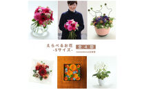 季節ごとに届く、えらべるお花　Sサイズ（4回お届け）【季節ごとに届く、えらべるお花&nbsp;Sサイズ&nbsp;フラワーライフ&nbsp;世界らん展&nbsp;フラワードリームジャパンカップ&nbsp;フラワーアレンジメント&nbsp;6種類のフラワースタイル&nbsp;神奈川県&nbsp;小田原市&nbsp;】