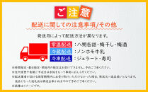 【定期便 偶数月発送 全6回お届け】 和歌山のこだわり　季節の定期便［TM216］
