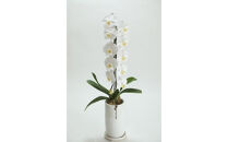 季節ごとに届く、えらべるお花　Mサイズ（4回お届け）【季節ごとに届く、えらべるお花 Mサイズ フラワーライフ 世界らん展 フラワードリームジャパンカップ フラワーアレンジメント 6種類のフラワースタイル 神奈川県 小田原市 】