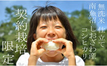 【令和7年産&nbsp;無洗米5Kg】南魚沼しおざわ産コシヒカリ