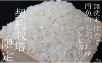 【令和7年産&nbsp;無洗米5Kg】南魚沼しおざわ産コシヒカリ