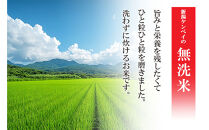 無洗米&nbsp;新潟産&nbsp;新之助&nbsp;5kg&nbsp;令和7年産&nbsp;精米&nbsp;