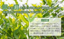 黄金月桂樹　アフロ仕立て