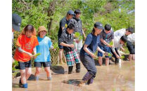 純米酒 大林千年 720ml×1本