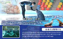 白浜町ふるさと納税 アドベンチャーワールド入園引換券 子どもチケット（18歳未満） 1枚