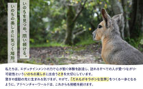 白浜町ふるさと納税&nbsp;アドベンチャーワールド入園引換券&nbsp;大人・子ども&nbsp;ペアチケット