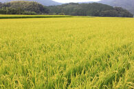 【令和7年産新米予約】【食味鑑定士厳選】福岡県産&nbsp;夢つくし30kg&nbsp;(5kg×6袋)