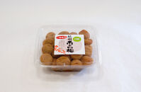 紀州南高梅&nbsp;うす塩味&nbsp;家庭用B級&nbsp;600g&nbsp;sekifz016B