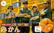 訳あり&nbsp;森本農園の手選別&nbsp;小粒みかん&nbsp;約8kg&nbsp;和歌山県産&nbsp;2S・3Sサイズ混合&nbsp;［北海道・沖縄・離島配送不可］［2025年11月上旬から順次発送］［RN66］