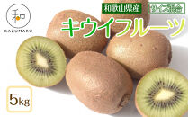 森本農園の&nbsp;キウイフルーツ&nbsp;約5kg&nbsp;和歌山県産&nbsp;サイズ混合&nbsp;［北海道・沖縄・離島配送不可］［2026年2月上旬から順次発送］［RN127］