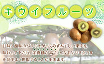 森本農園の&nbsp;キウイフルーツ&nbsp;約5kg&nbsp;和歌山県産&nbsp;サイズ混合&nbsp;［北海道・沖縄・離島配送不可］［2026年2月上旬から順次発送］［RN127］