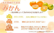 訳あり 森本農園の手選別 小粒みかん 約10kg 和歌山県産 2S・3Sサイズ混合 ［北海道・沖縄・離島配送不可］［2025年11月上旬から順次発送］［RN67］