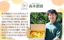 贈答用&nbsp;森本農園の手選別&nbsp;厳選みかん&nbsp;約5kg&nbsp;和歌山県産&nbsp;2S~2Lサイズ混合&nbsp;［北海道・沖縄・離島配送不可］［2025年11月上旬から順次発送］［RN86］